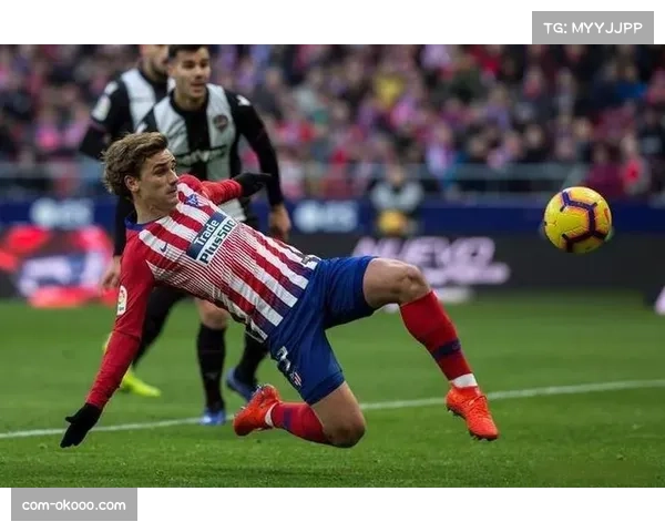 布莱顿3比0切尔西轮换见效 替补马泰塔梅开二度定胜局